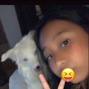 Meet your Posher, Ross